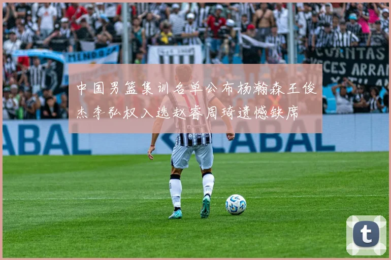 中国男篮集训名单公布杨瀚森王俊杰李弘权入选赵睿周琦遗憾缺席