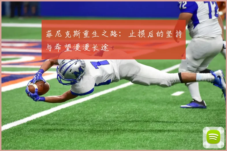 菲尼克斯重生之路：止损后的坚持与希望漫漫长途