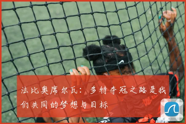 法比奥席尔瓦：多特夺冠之路是我们共同的梦想与目标